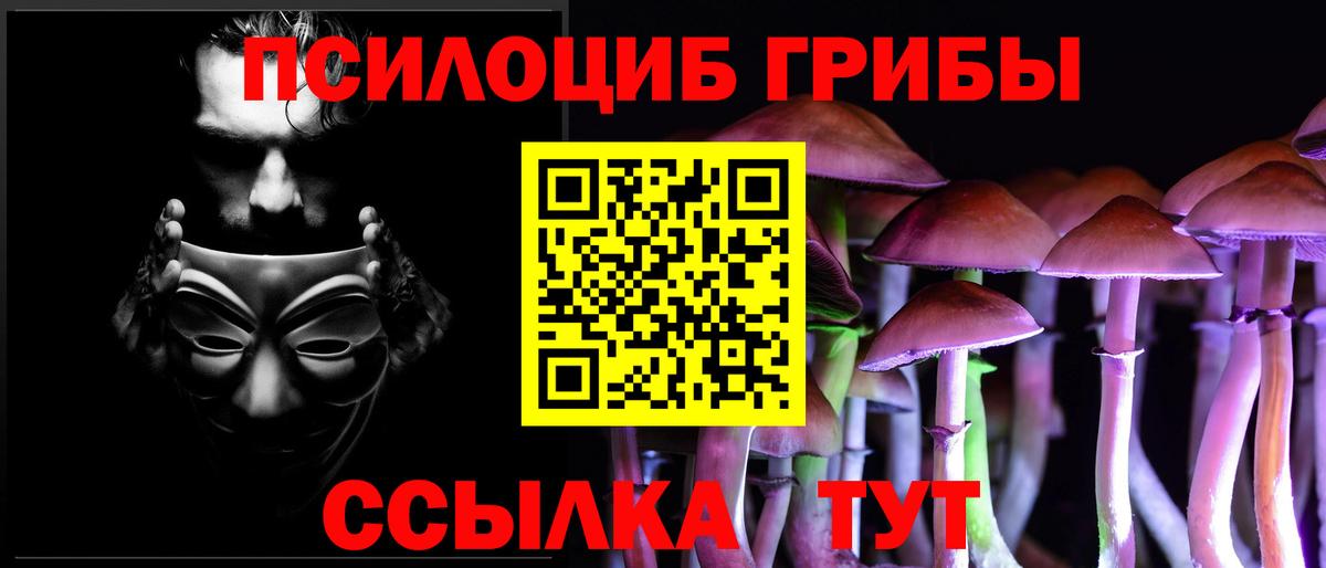 Галлюциногенные грибы GOLDEN TEACHER Кисловодск